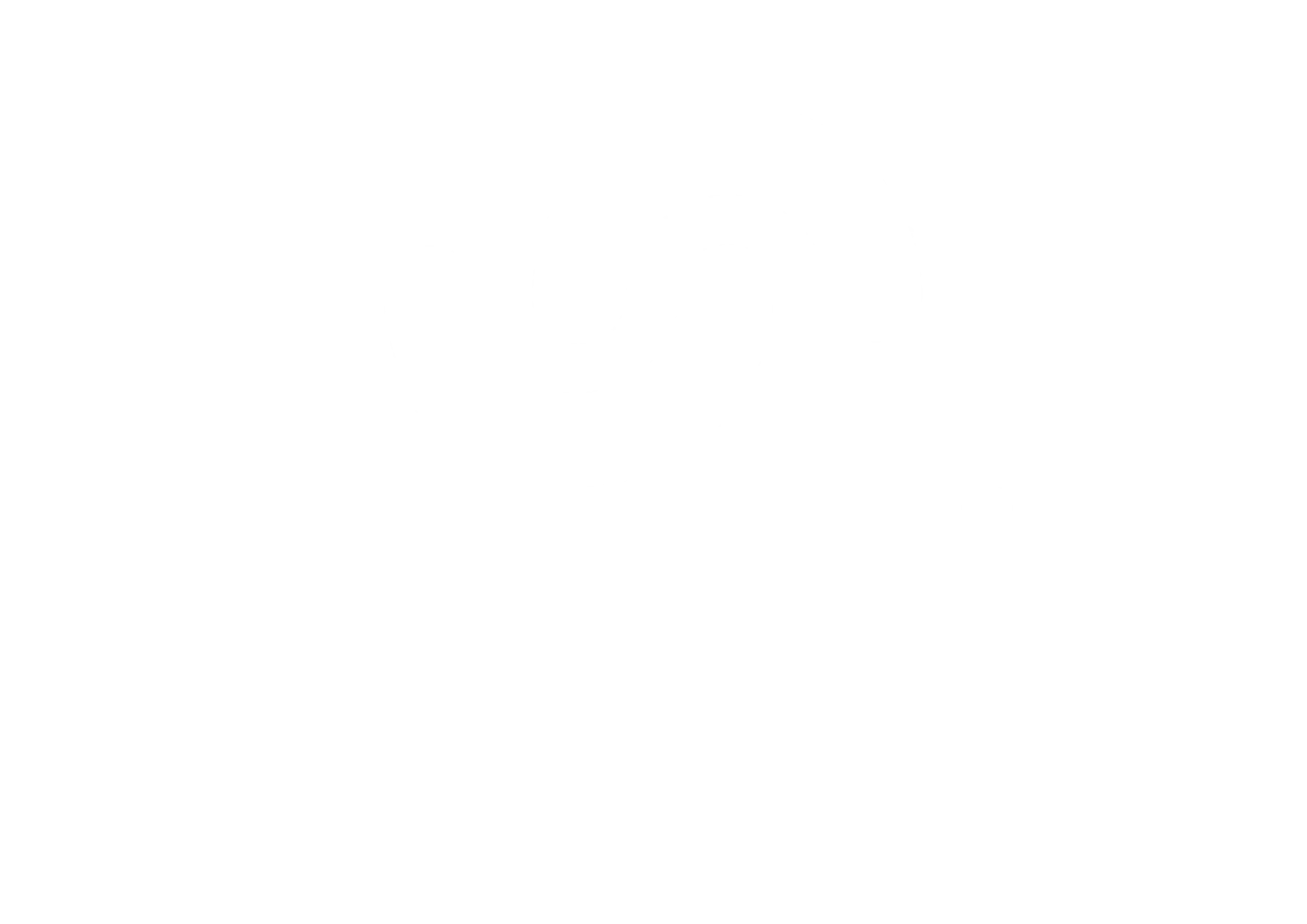 logotipo do programa de pós-graduação em ciência da informação da UFMA